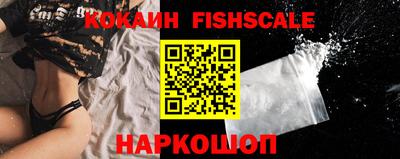 крисы Сланцы