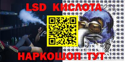 крисы Сланцы