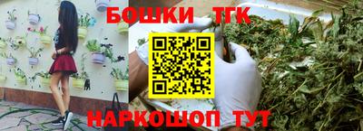крисы Сланцы