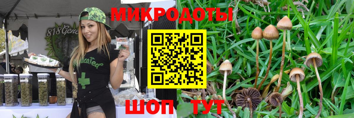 Галлюциногенные грибы прущие грибы Ногинск