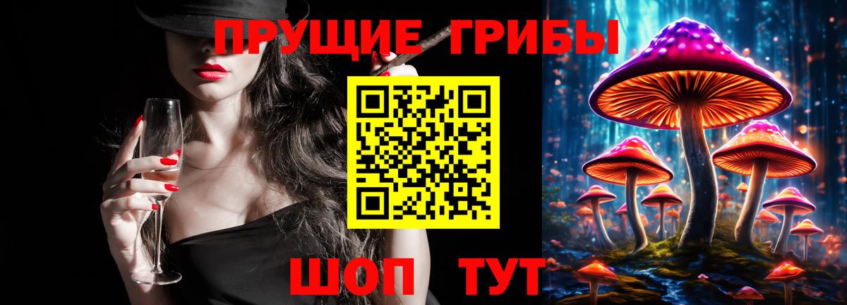 Ногинск  Псилоцибиновые грибы ЛСД  Вход с VPN  Псилоцибиновые грибы мухоморы 